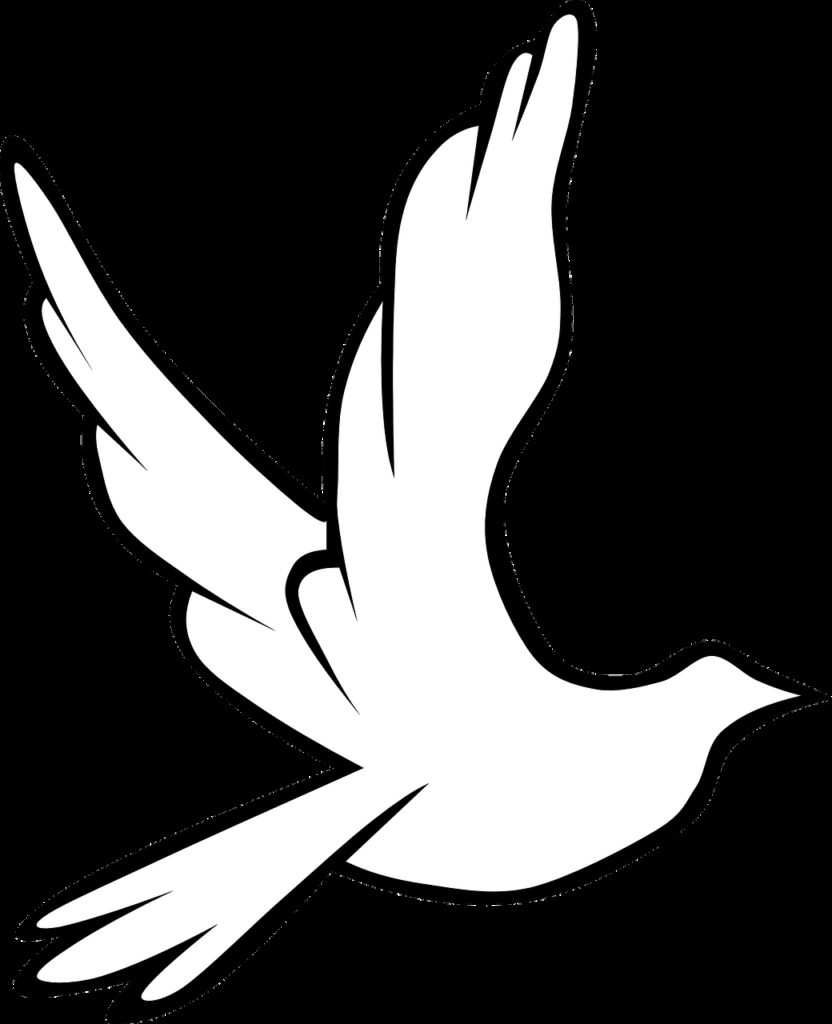 dove, bird, symbol